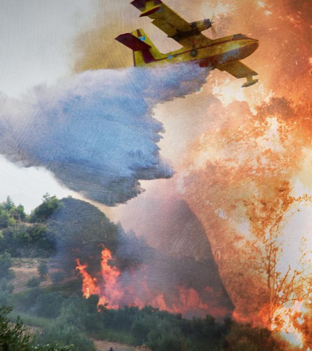 Ein Flugzeug fliegt über einen brennenden Wald.