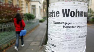 An einem Laternenpfahl hängt ein Tauschgesuch für eine Mietwohnung.
