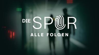 Die Spur