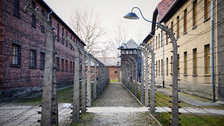 81. Jahrestag der Befreiung von Auschwitz