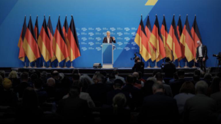 AfD - Parteiencheck