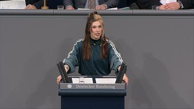 AfD-Antrag zu politischer Werbung