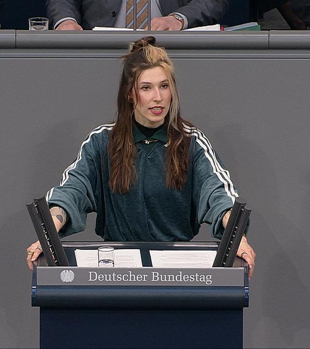 AfD-Antrag zu politischer Werbung