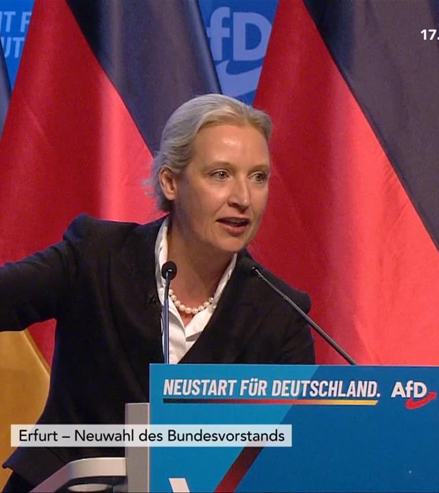 AfD-Bundesvorstand: Alice Weidel mit 81,3 % wiedergewählt