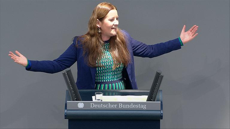 AfD will Kehrtwende bei erneuerbaren Energien