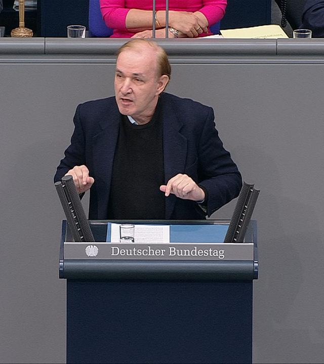 AfD will Reform der Einbürgerung