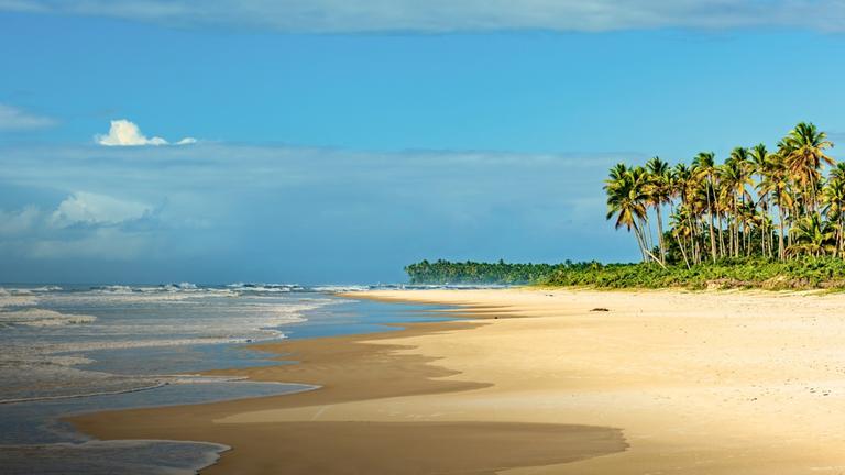 Brasilien - Kampf um die Küstentiere