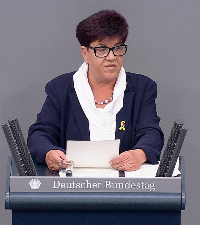Debatte zum Veteranentag