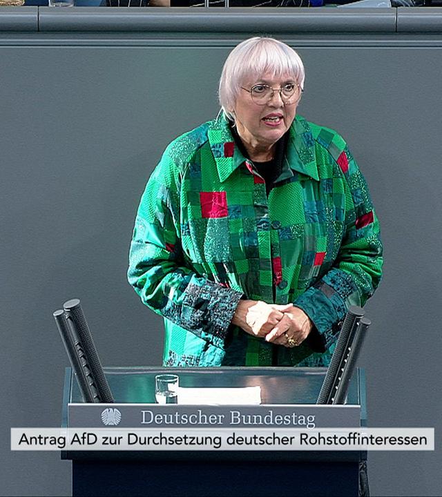 Debatte zur Rohstoffpolitik