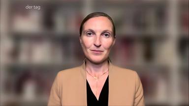 Drohnen-Einschlag in Rumänien: "Dieser Krieg birgt Eskalationsgefahr"