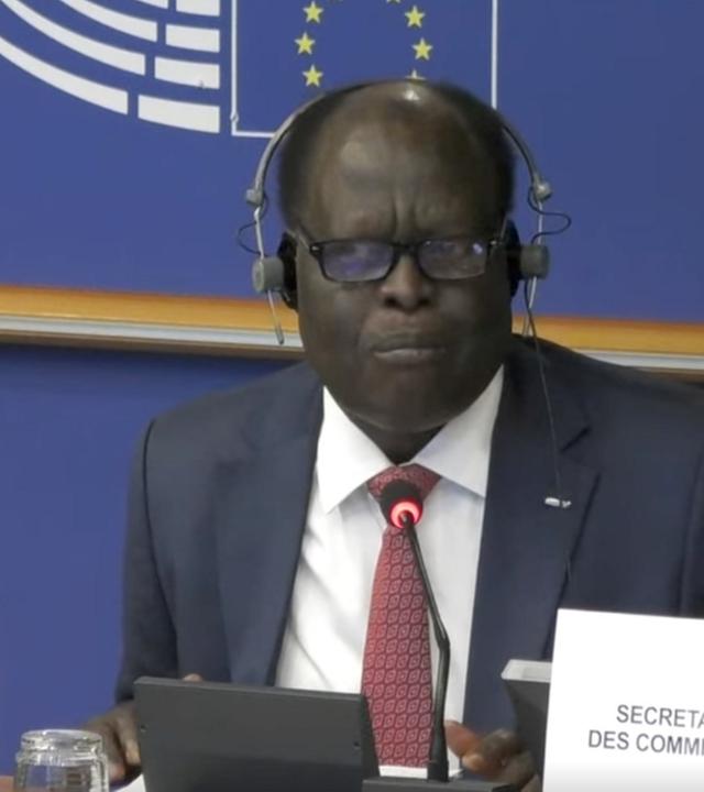 EU-Parlamentsausschuss zum Sudan