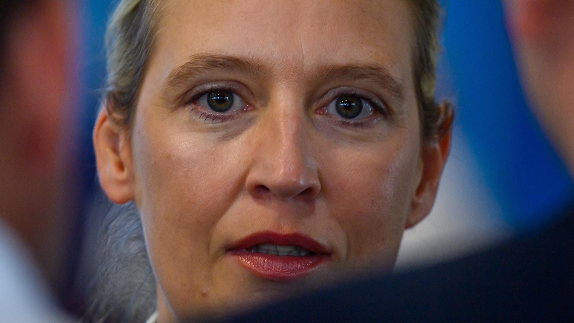 Interview mit Alice Weidel