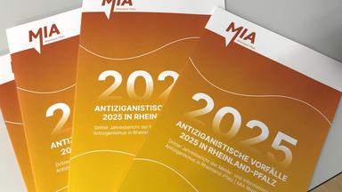 Jahresbericht Antiziganismus in Deutschland