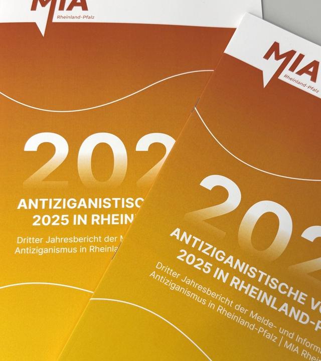 Jahresbericht Antiziganismus in Deutschland