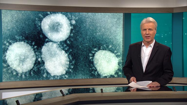 phoenix der tag. Erneute Bemühungen um Ukraine-Friedensplan. Deutsch-polnische Beziehungen.