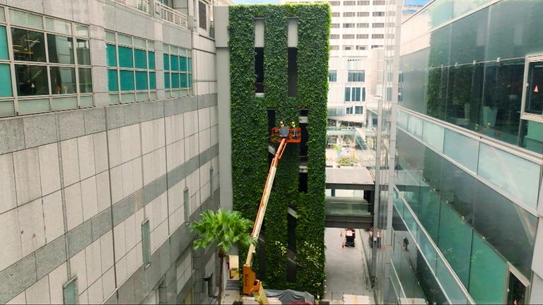 Strategien und Lösungen - Klimawandel global