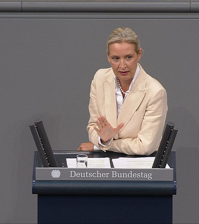 Weidel: "Sie sind ein Papier-Kanzler"