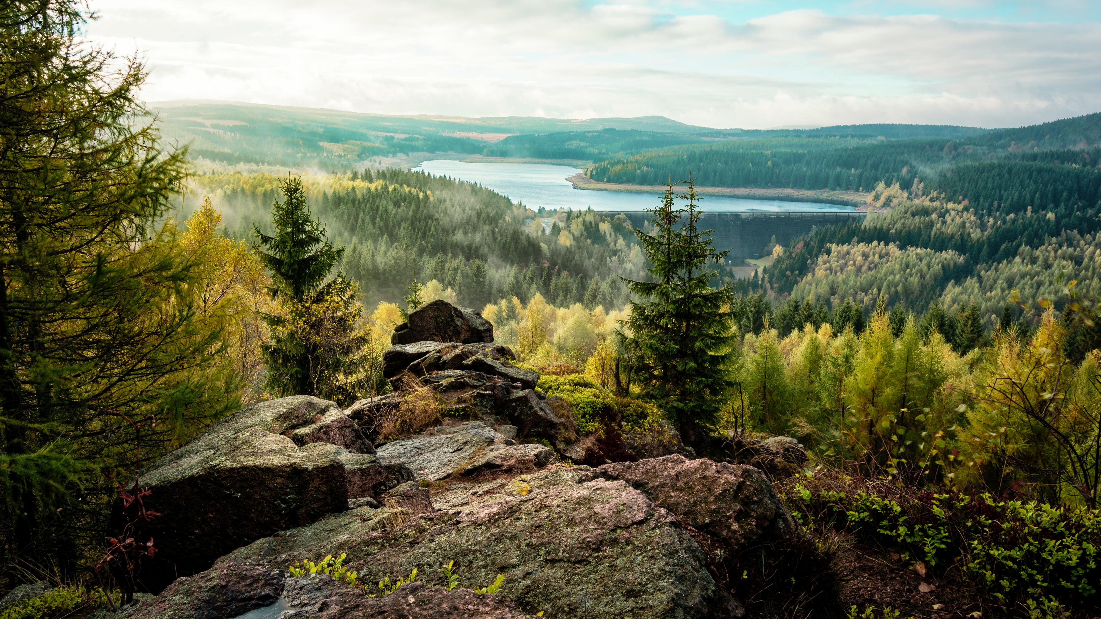 Tschechischer Wald