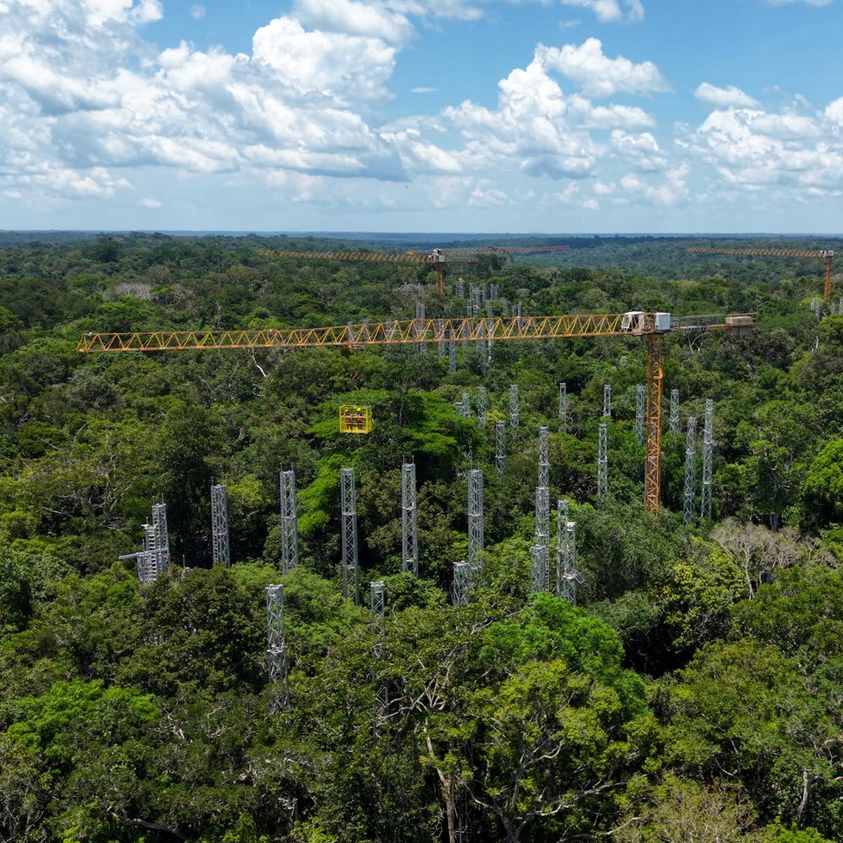 Feldversuch: CO2-Duschen im Amazonas