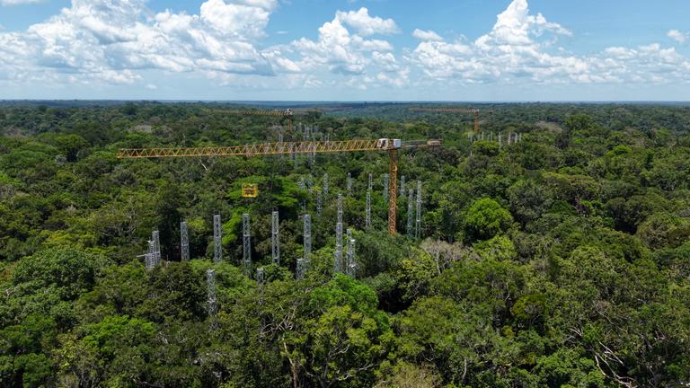 Die Forschungsanlage AmazonFACE im Regenwald