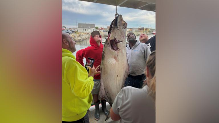 Jackson Denio steht mit einem 80 Kilogramm schweren Heilbutt, den er am Montag bei einem Hochseefischausflug in Hampton, New Hampshire, gefangen hat, am Dienstag, dem 2. September 2025. 