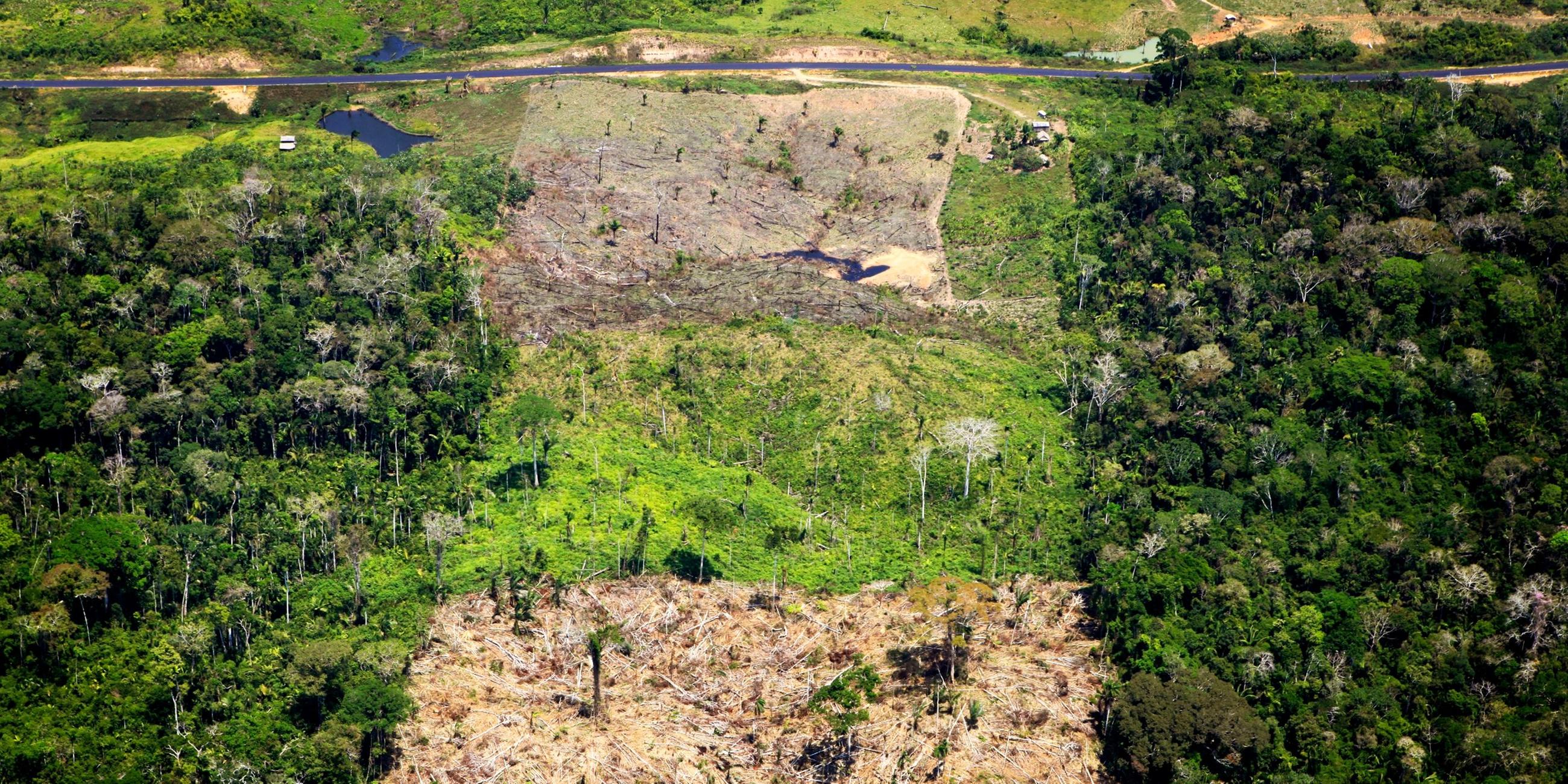 Abgeholztes Gebiet im Amazonas-Regenwald in Brasilien.