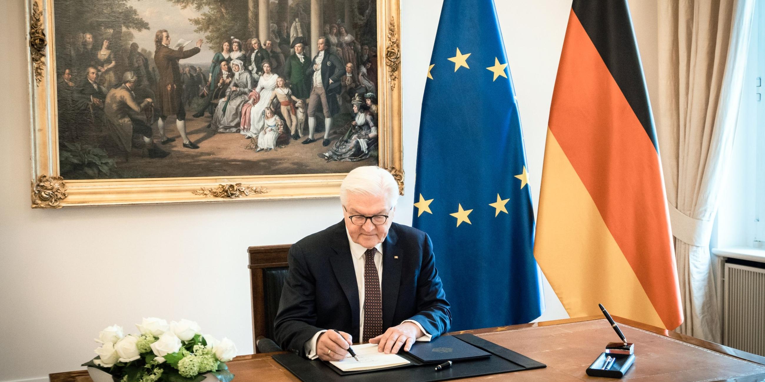Bundespräsident Frank-Walter Steinmeier.