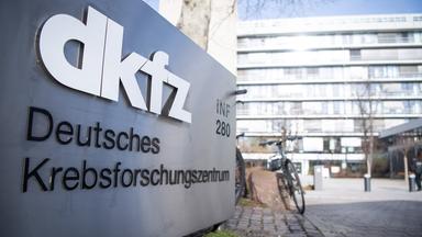 Das Krebsforschungszentrum rechnet mit mehr Krebsfällen. Archiv.