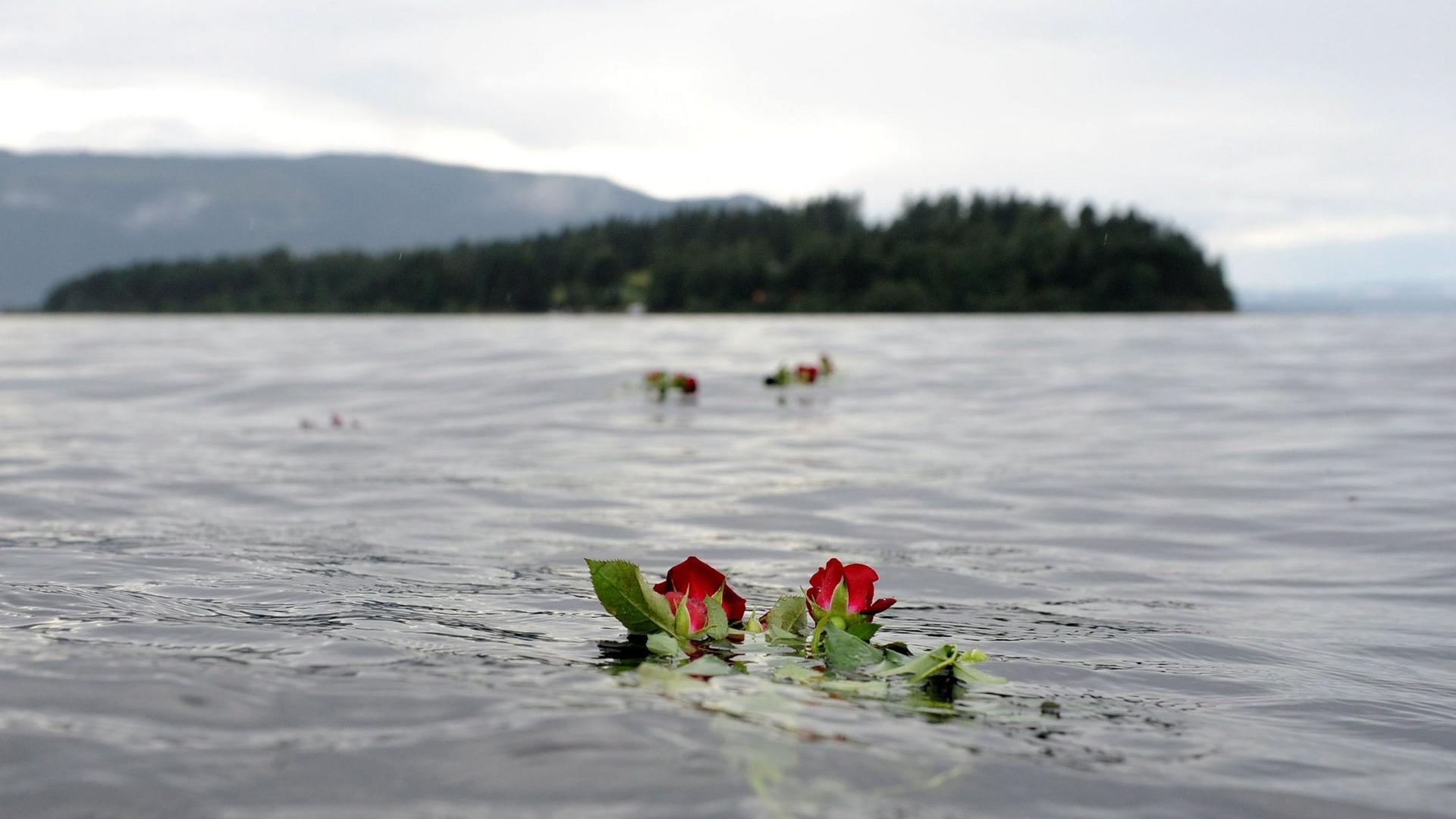 Eine Rose schwimmt vor Utoya im Wasser. Archivbild