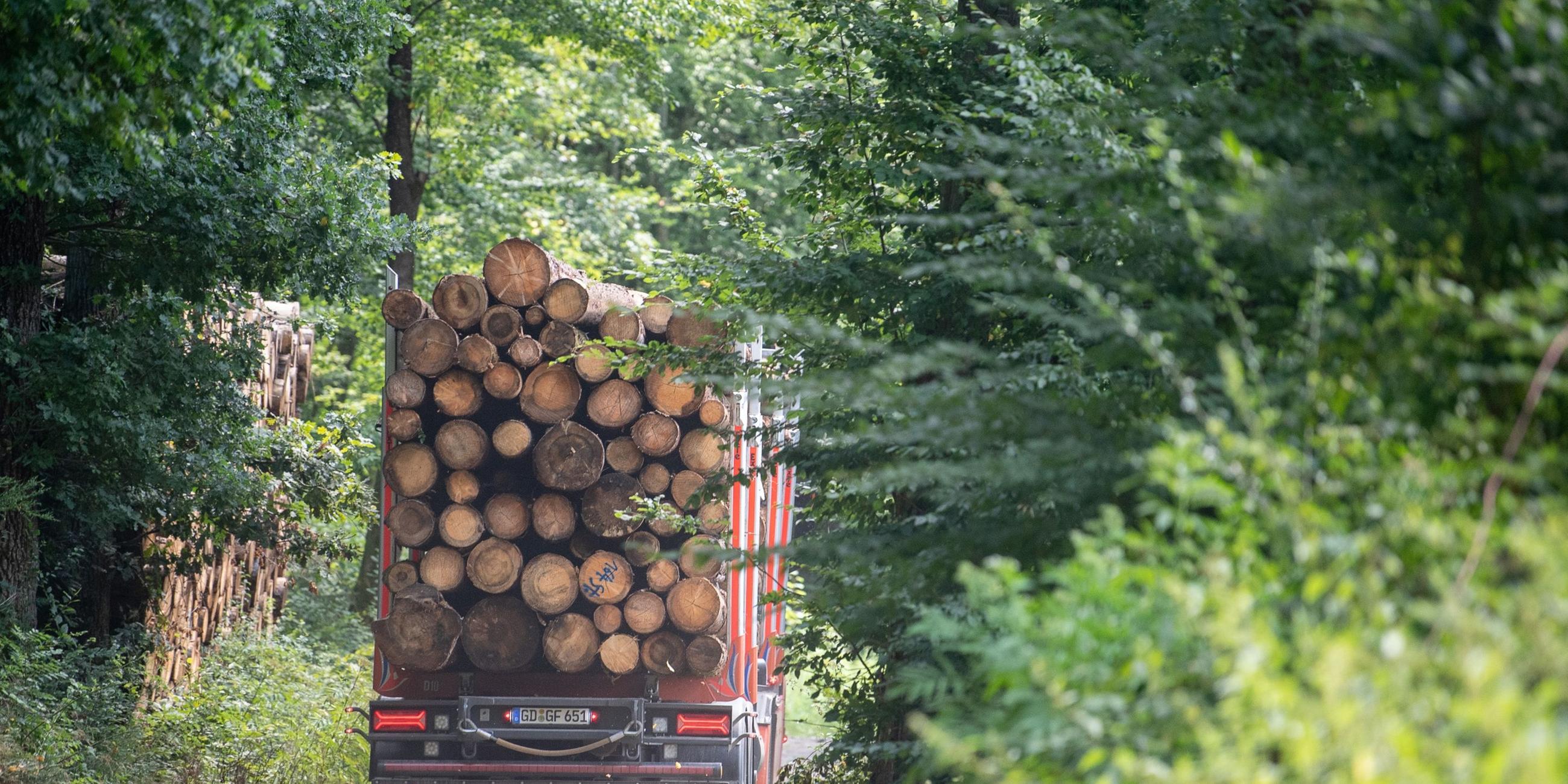 Holztransporter (Symbolbild)