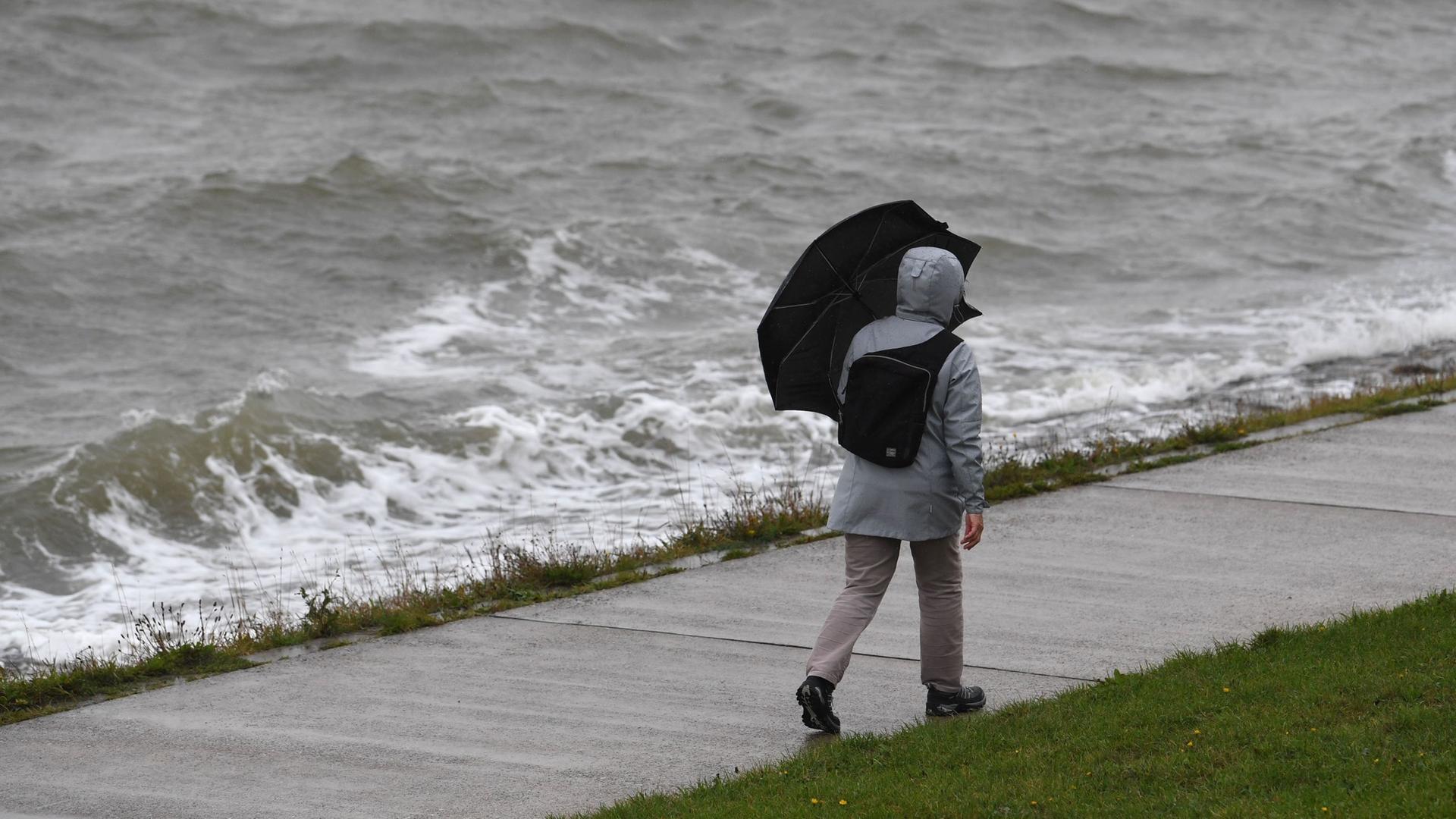 Stürmischer Spaziergang am Jade Busen.