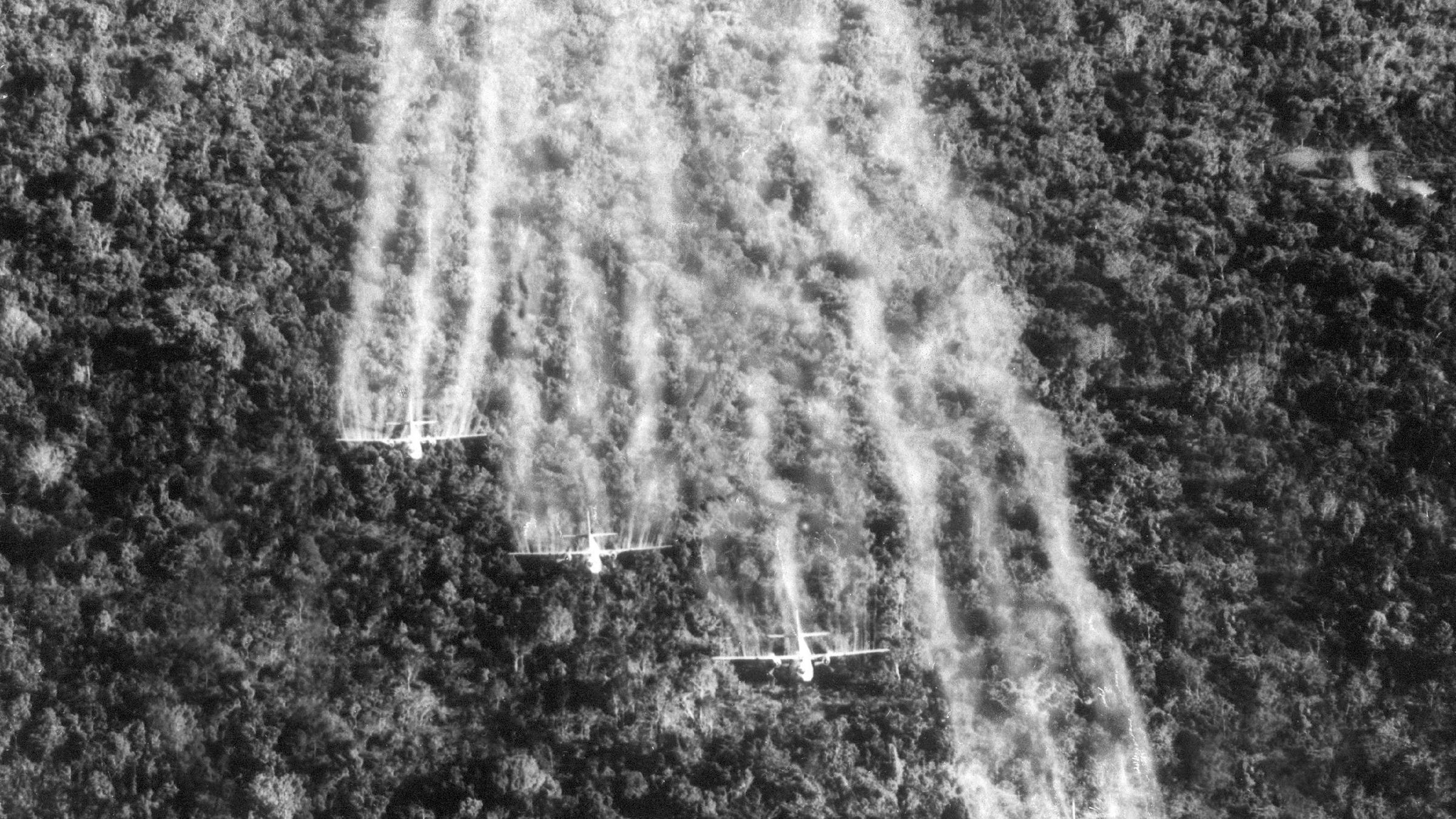 Vietnamkrieg - Einsatz von Agent Orange.