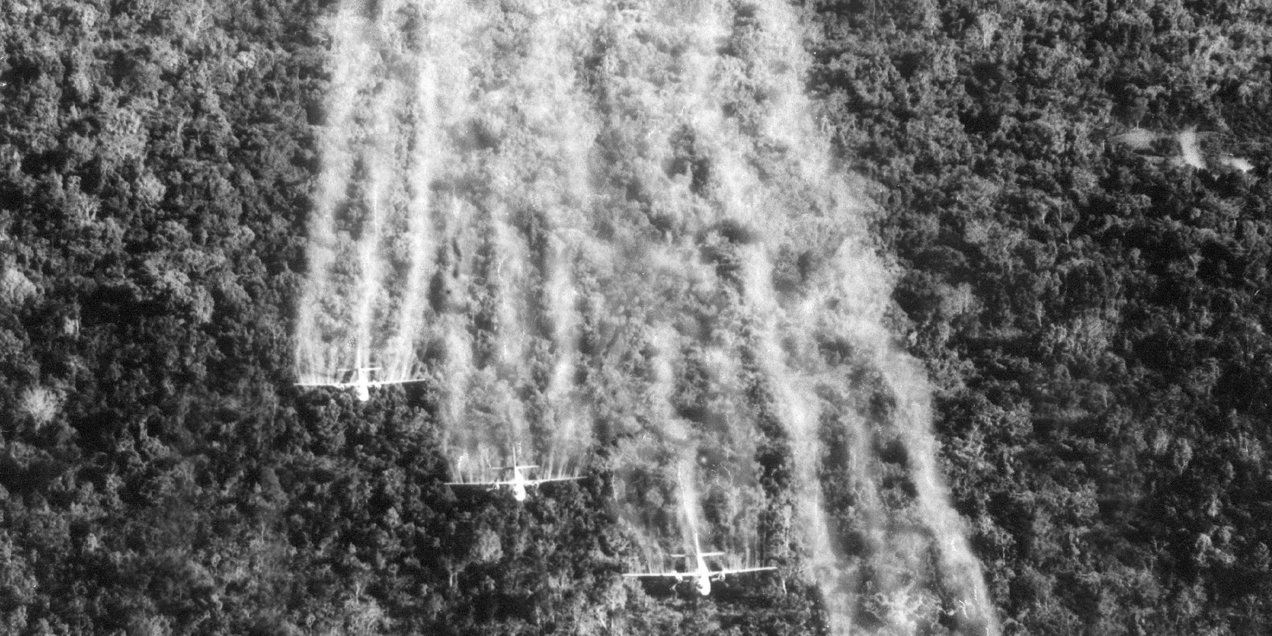 Vietnamkrieg - Einsatz von Agent Orange.