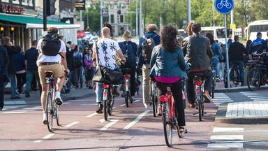 Eine Gruppe Radfahrer auf einem Radweg.