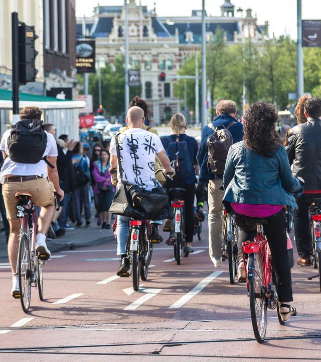 Eine Gruppe Radfahrer auf einem Radweg.