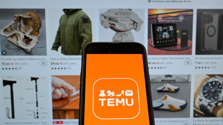 Auf einem Handy ist das Temu-Logo zu sehen. Dahinter ist auf einem Bildschirm die Temu-Seite geöffnet.