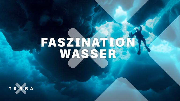 Uli Kunz taucht im Meer