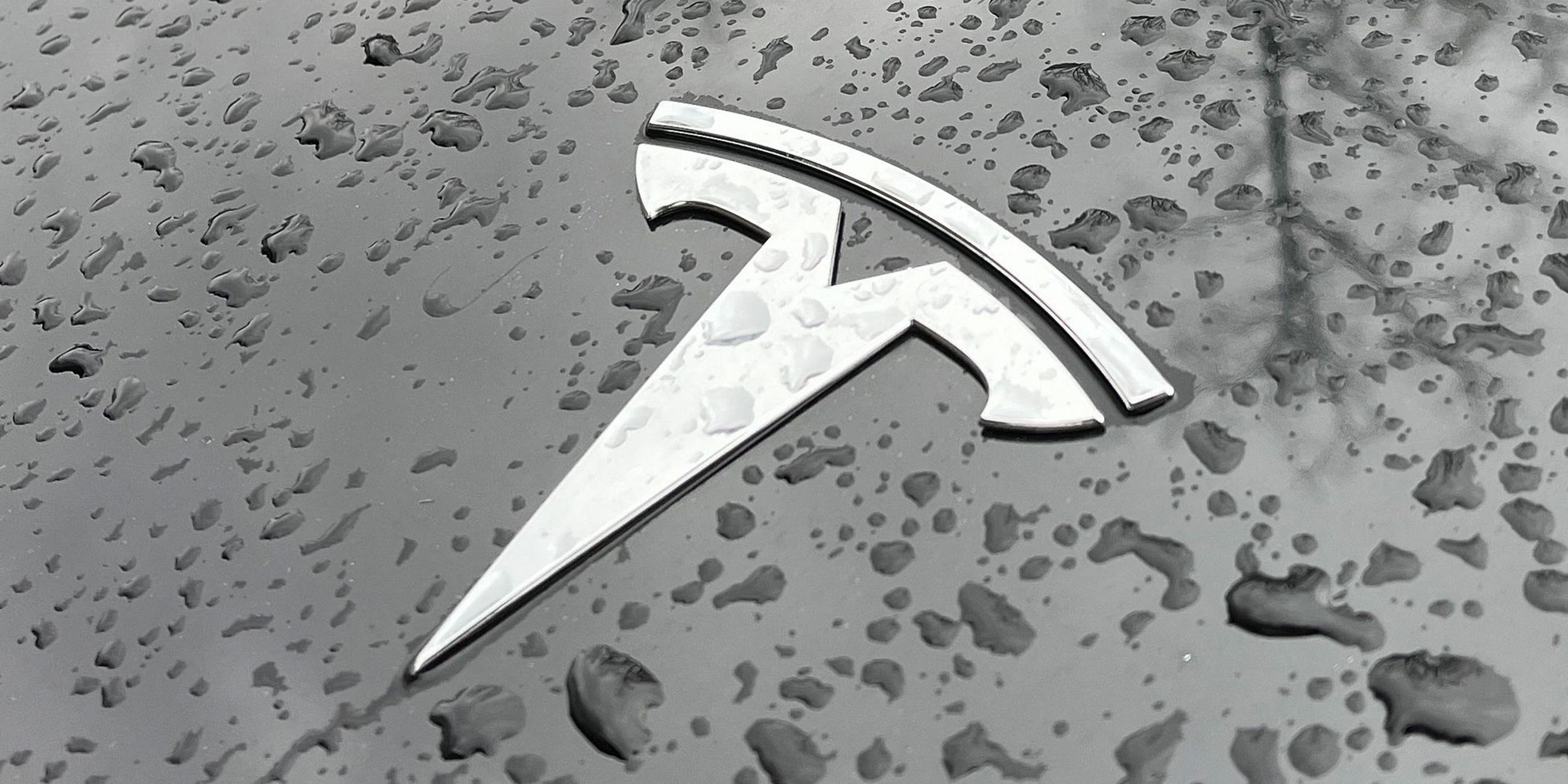 Logo auf der Motorhaube eines Teslas