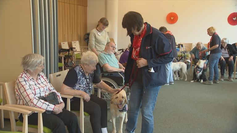 Therapiehunde beschäftigen Senioren.