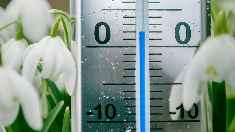 In der Mitte steht ein Termomether auf null Grad Celsius. Daneben sieht man die heranhängenden Köpfe von Schneeglöckchen.