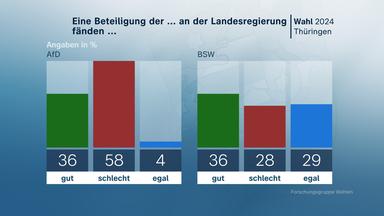 Grafik "Beteiligung an Landesregierung..."