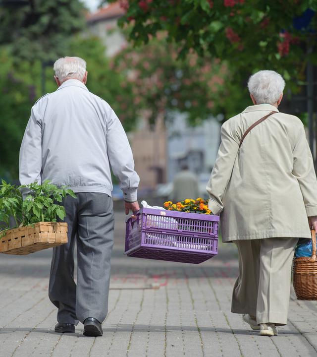 Thüringen, Erfurt: Seniorenpaar trägt Einkauf