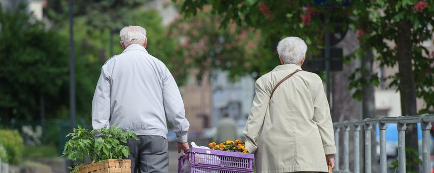 Thüringen, Erfurt: Seniorenpaar trägt Einkauf