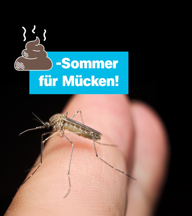 Eine Mücke sitzt auf einem Finger. 