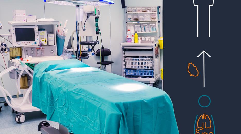 Krankenzimmer mit Grafik zum Thema Nierentransplantation