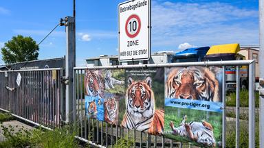Ein Werbetransparent mit Tigerfotos hängt am Tor zu dem Gelände, wo Tiger gehalten werden.