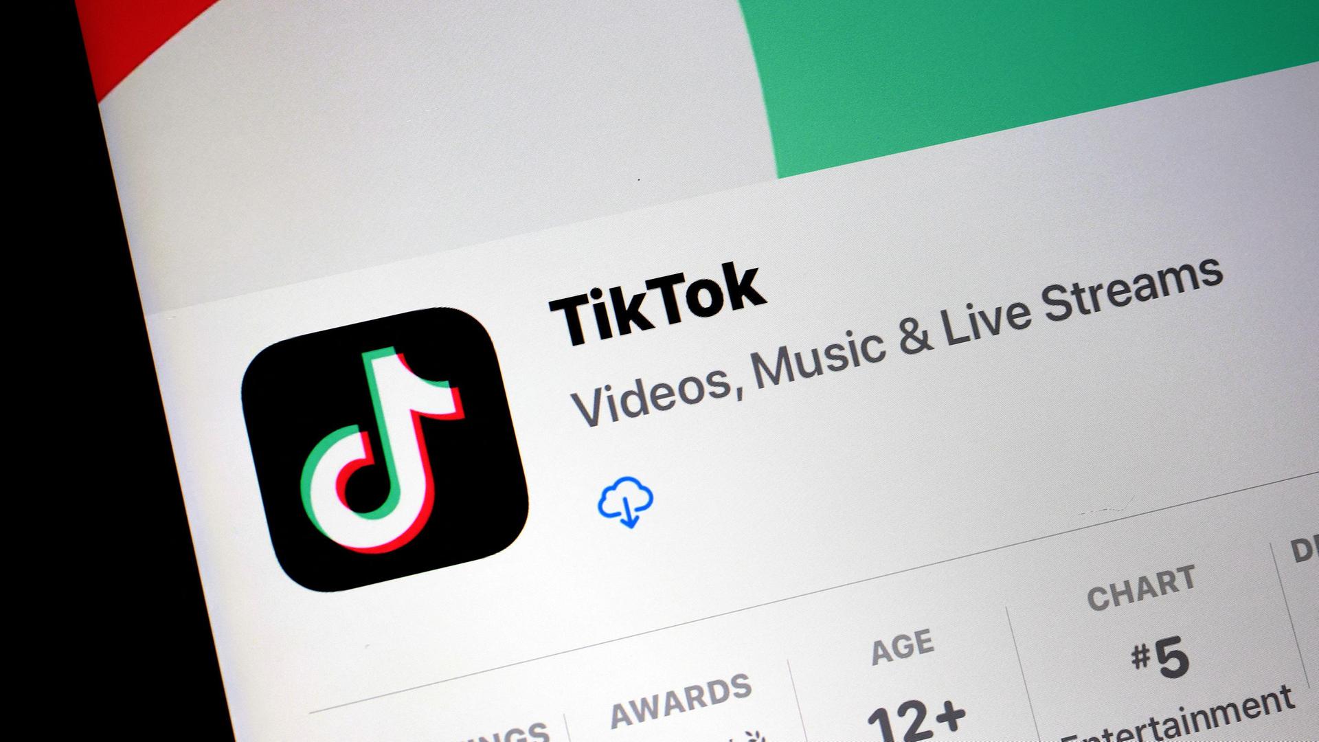 TikTok App