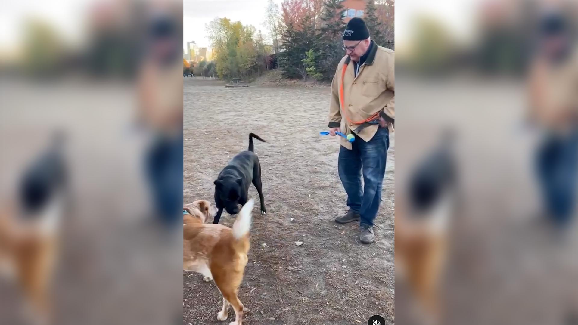 Screenshot: Tim Walz mit Hunden