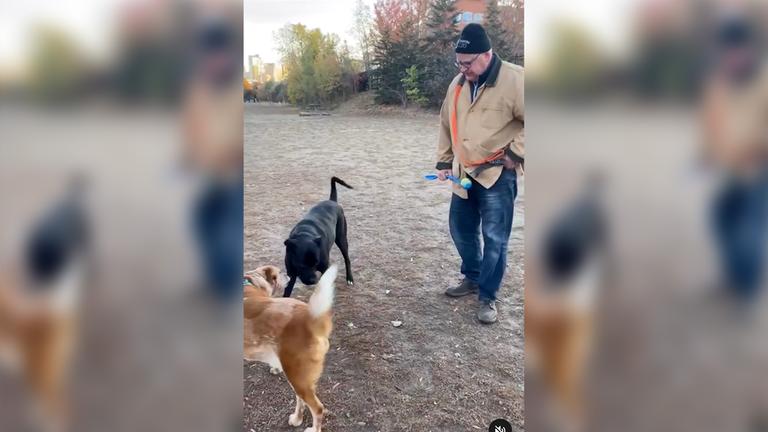 Screenshot: Tim Walz mit Hunden