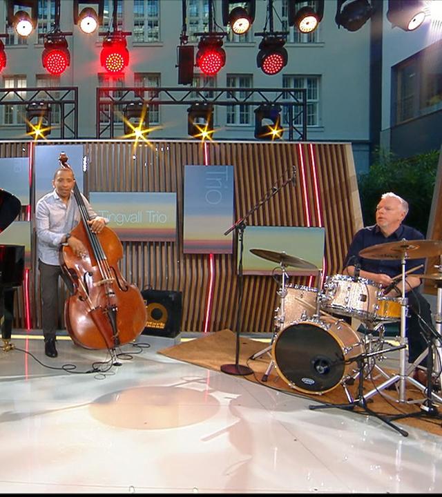 Tingvall Trio - "Woodpecker"